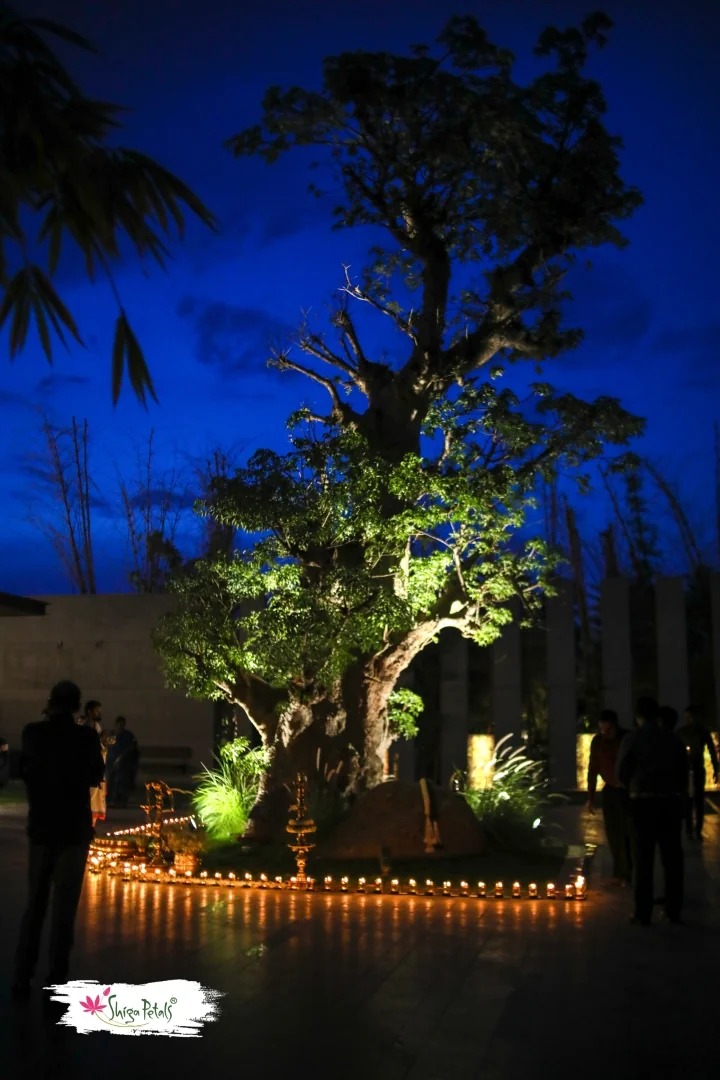 Image link